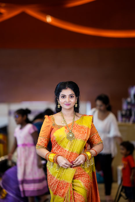 Kanchi Pochampally Silk