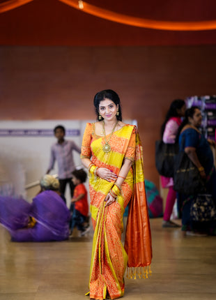 Kanchi Pochampally Silk