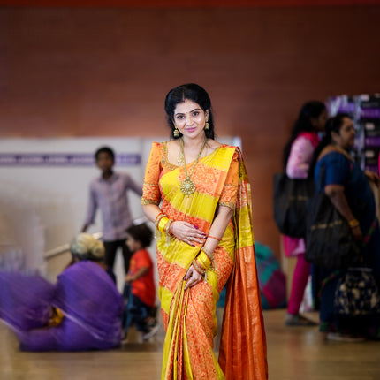 Kanchi Pochampally Silk