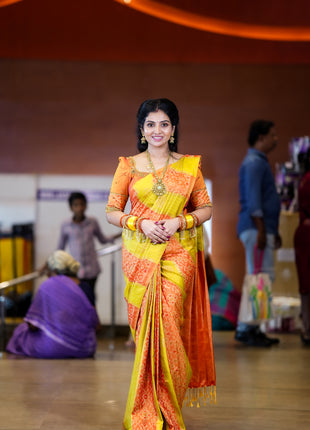 Kanchi Pochampally Silk