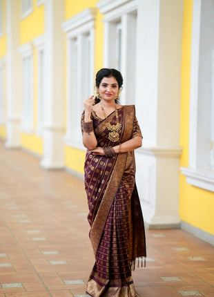 Kanchi Silk Gold Zari