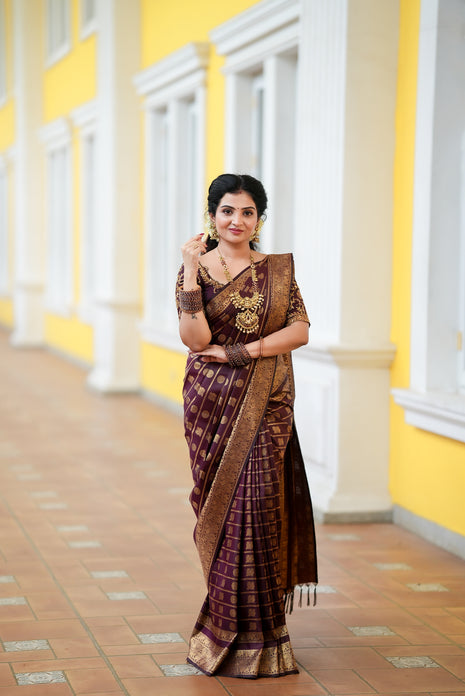 Kanchi Silk Gold Zari