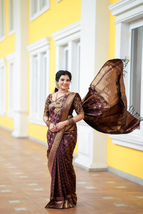 Kanchi Silk Gold Zari