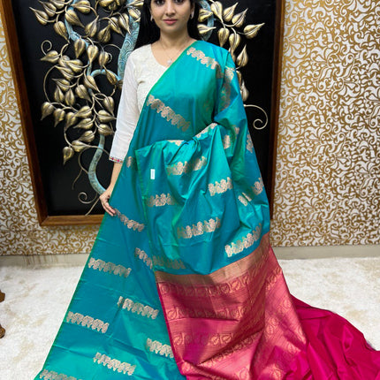 Border Less Kanchi Silk