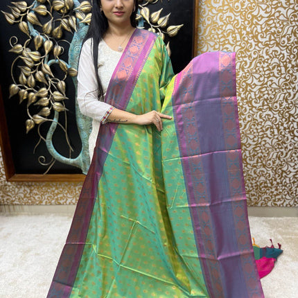 Banarasi Silk