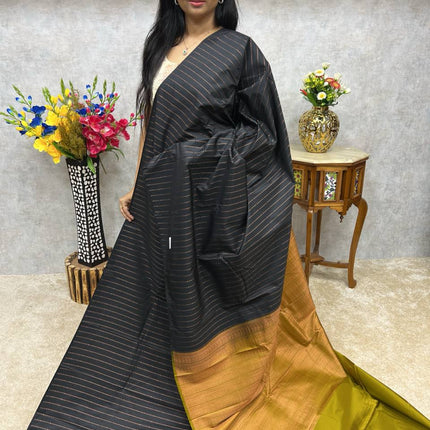 Border Less Kanchi Silk