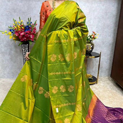 Border Less Kanchi Silk