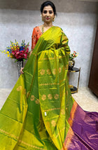 Border Less Kanchi Silk