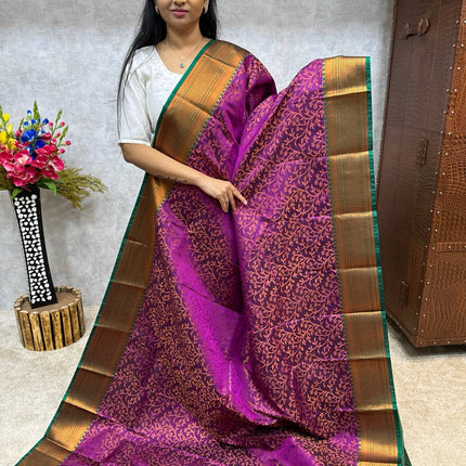 Kanchi Kodi