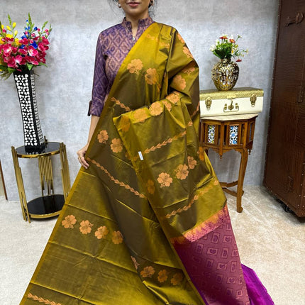 Border Less Kanchi Silk