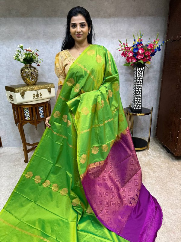 Border Less Kanchi Silk