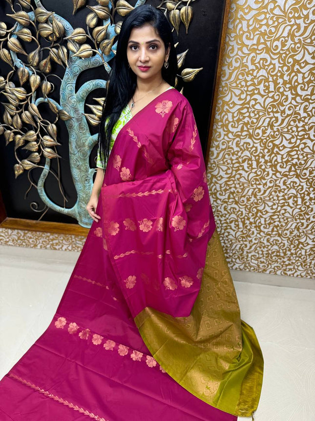 Border Less Kanchi Silk