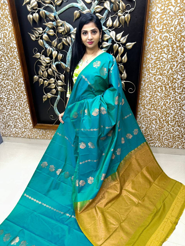 Border Less Kanchi Silk