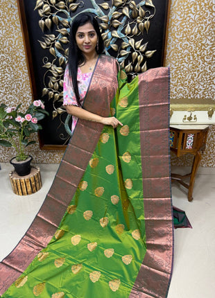 Long Border Kanchi Silk