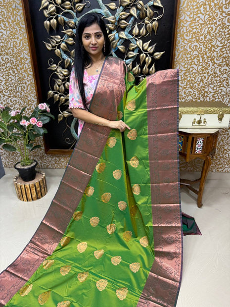 Long Border Kanchi Silk