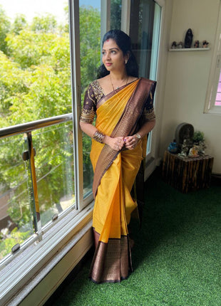Saree Blouse Combo