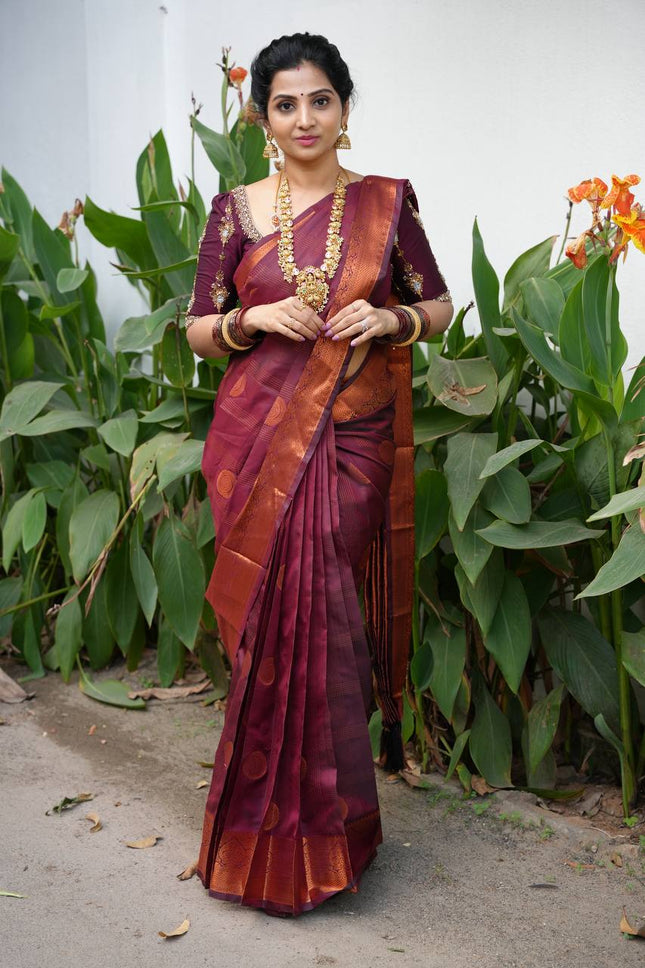 Kanchi Silk