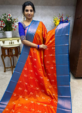 Premium Kanchi