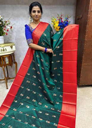 Premium Kanchi