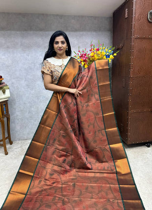 Contemporary Kanchi Silk