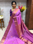Premium Kanchi
