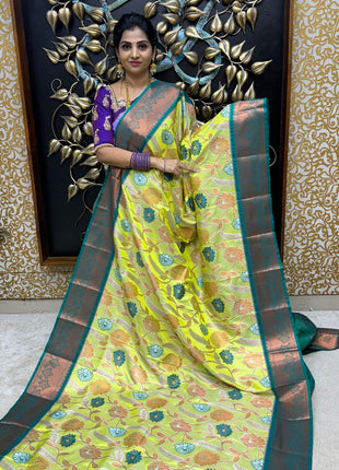 Contemporary Kanchi Silk