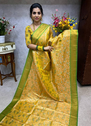 Pashmina