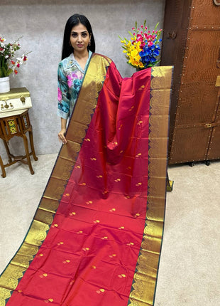 Premium Kanchi Gold Zari