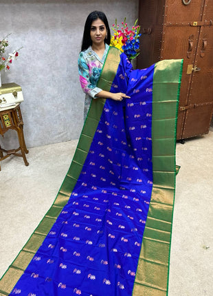 Premium Kanchi