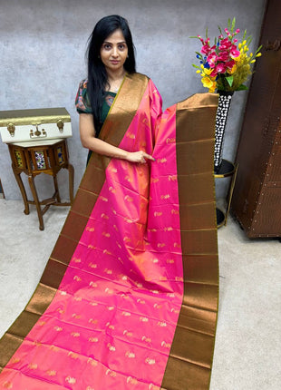 Premium Kanchi