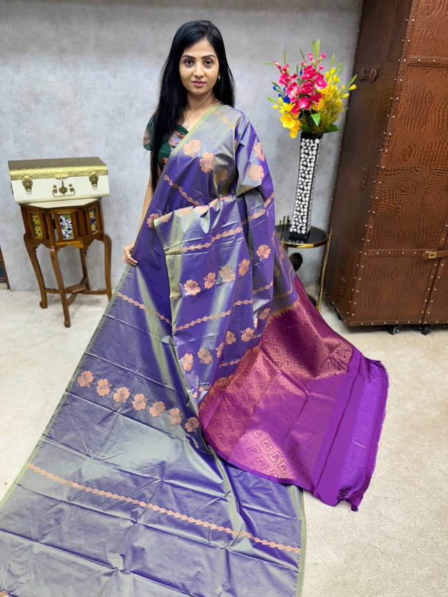 Border Less Kanchi Silk