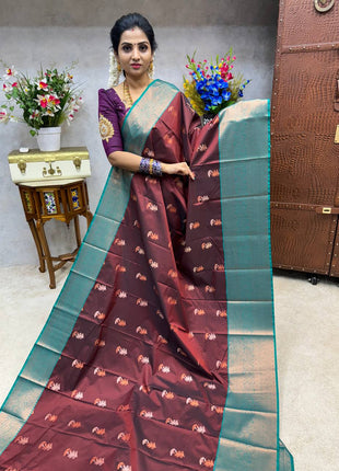 Premium Kanchi