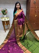 Premium Kanchi