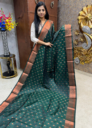 Pashmina