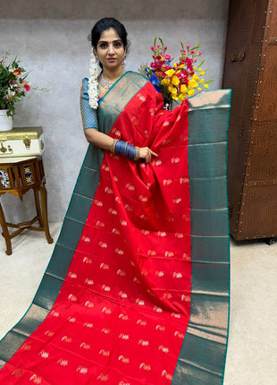 Premium Kanchi