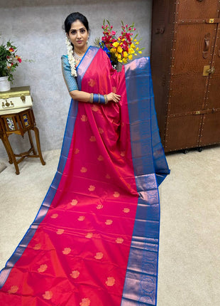 Premium Kanchi