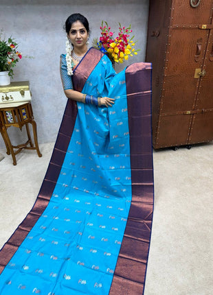 Premium Kanchi