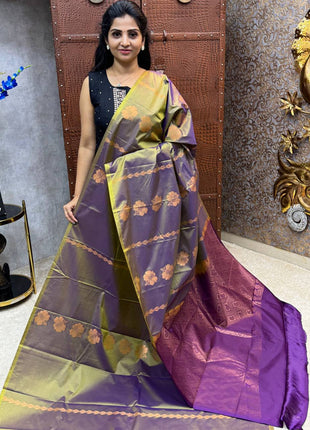 Border Less Kanchi Silk