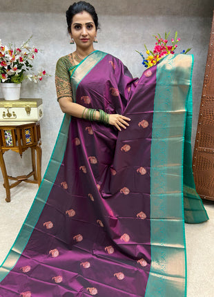 Premium Kanchi