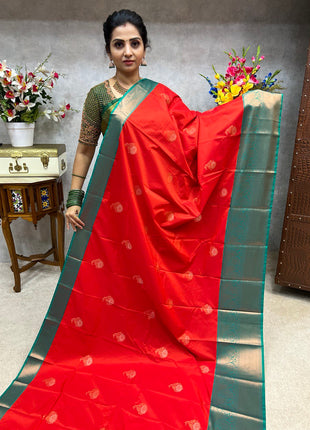 Premium Kanchi
