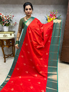 Premium Kanchi