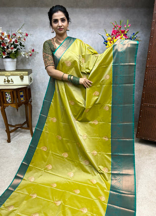Premium Kanchi