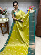 Premium Kanchi