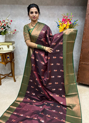 Premium Kanchi