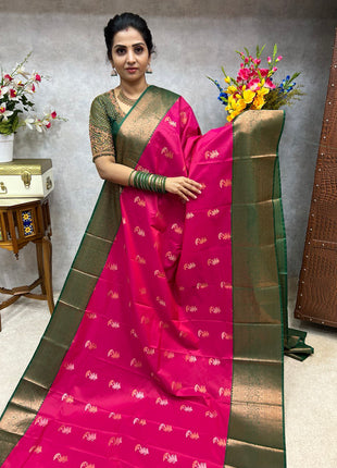Premium Kanchi