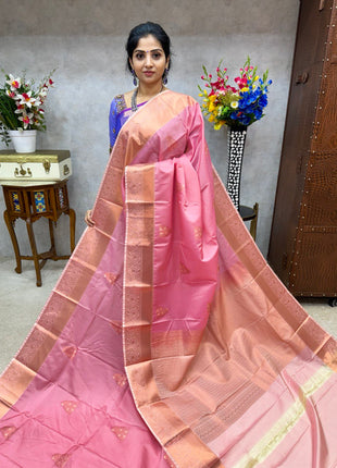 Premium Kanchi