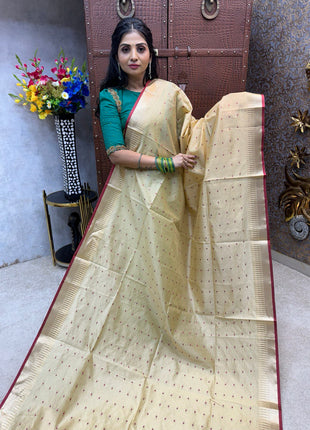 Banana Pith Saree