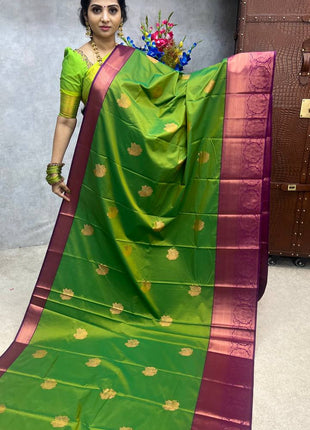 Premium Kanchi