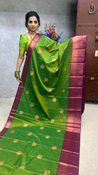 Premium Kanchi