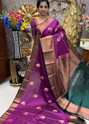 Premium Kanchi